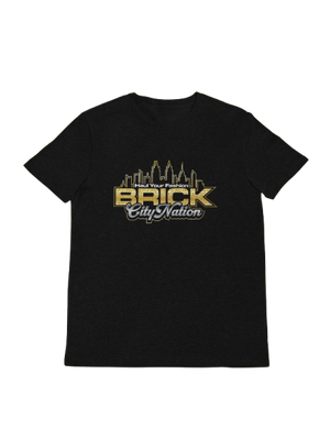 BrickCity Nation