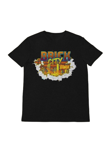 BrickCity Nation
