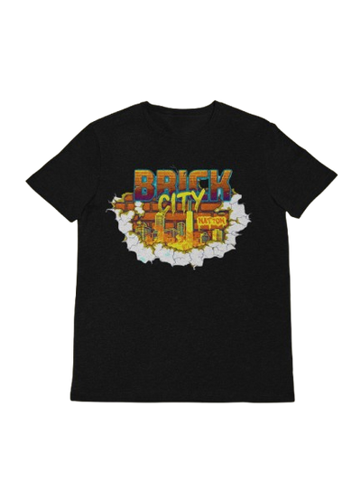 BrickCity Nation
